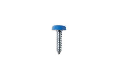 PARAFUSO PARA PLACA DE MATRÍCULA 10 X 1" AZUL POLYTOP 100 PEÇAS