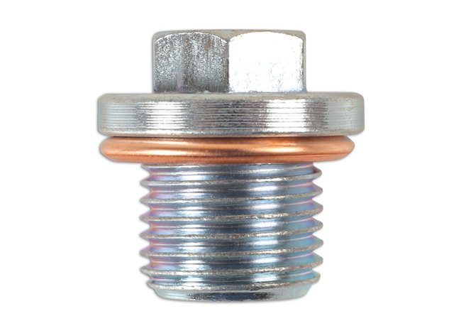 BUJÃO E ANILHA DO CÁRTER - PARA RENAULT - Image 2