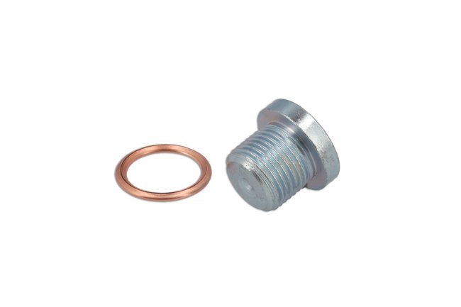 BUJÃO E ANILHA DO CÁRTER - PARA PEUGEOT, RENAULT - Image 2