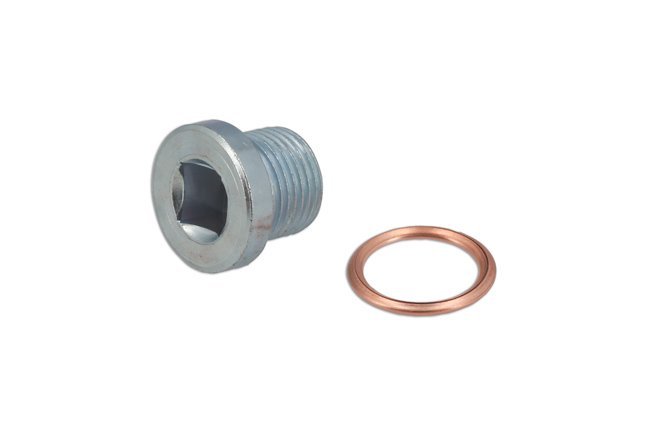 BUJÃO E ANILHA DO CÁRTER - PARA PEUGEOT, RENAULT - Image 5