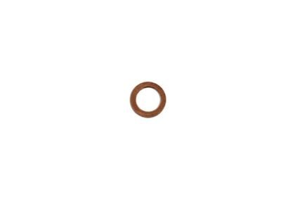 ANILHA DE INJEÇÃO DIESEL DE COBRE M6 X 10 X 1,0 MM (100 UNIDADES)