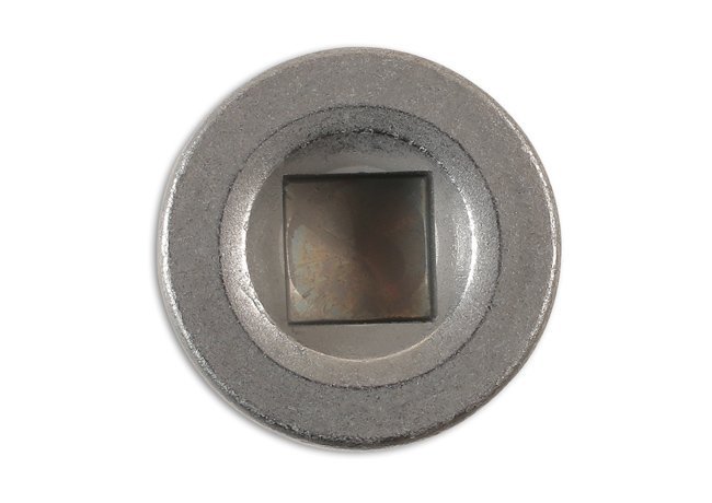 BUJÃO E ANILHA DO CÁRTER PARA VEÍCULOS PESADOS RENAULT (1 PEÇA) - Image 2