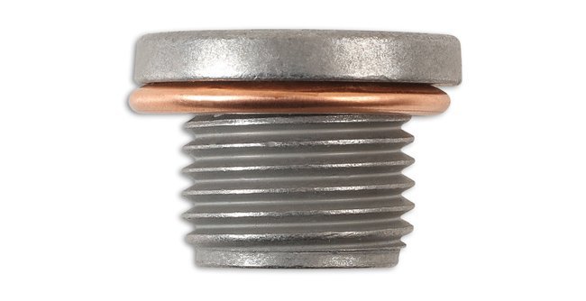BUJÃO E ANILHA DO CÁRTER PARA VEÍCULOS PESADOS RENAULT (1 PEÇA) - Image 3