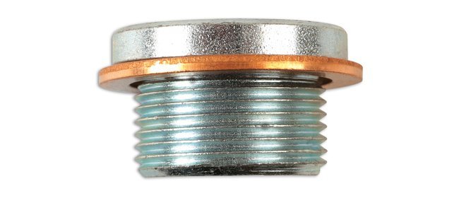 BUJÃO E ANILHA DO CÁRTER PARA VEÍCULOS PESADOS RENAULT (1 PEÇA) - Image 3