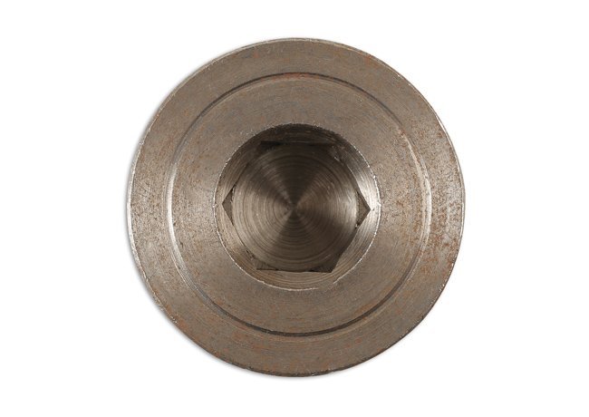 BUJÃO E ANILHA DO CÁRTER PARA VEÍCULOS PESADOS ??- PARA IVECO (1 PEÇA) - Image 2