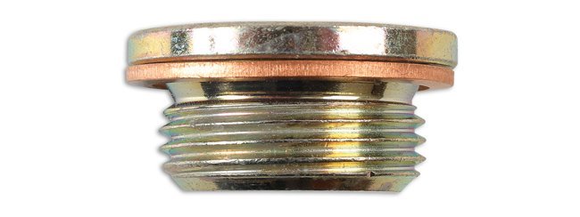BUJÃO E ANILHA DO CÁRTER PARA VEÍCULOS PESADOS ??- PARA IVECO (1 PEÇA) - Image 3