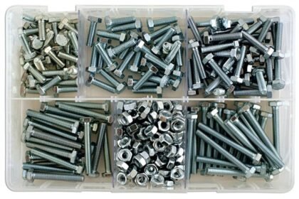 CONJUNTO DE 295 PARAFUSOS E PORCAS M6 X 1,0 SORTIDOS
