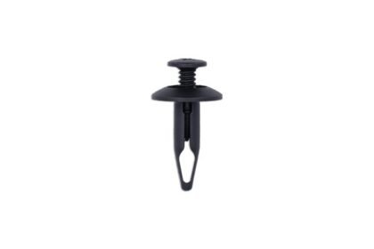 REBITE DE PARAFUSO - PARA FORD, 50 PEÇAS